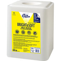 Everbuild Salt Away Removes Salt Efflorescence 5 litre SALT5